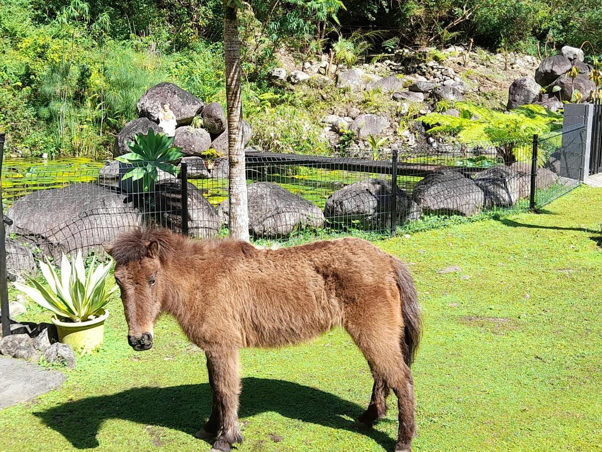 Gite La Cascade Blanche Villa Salazie Ngoại thất bức ảnh